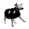 Avatar do usuário