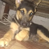 Avatar do usuário
