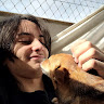 Avatar do usuário