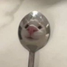 Avatar do usuário