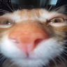 Avatar do usuário